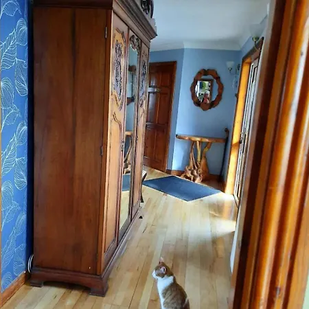 With Jack * Limerick Junction