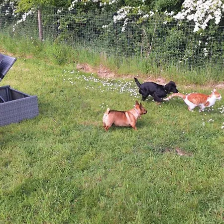 With Jack Limerick Junction