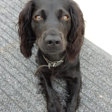 Kwatera prywatna With Jack