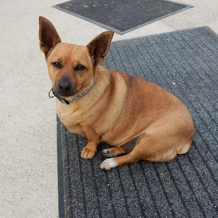 منزل للإقامة With Jack *