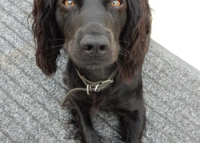 Quarto em Acomodações Particulares With Jack