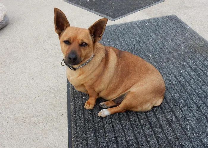 Habitación en casa particular With Jack *